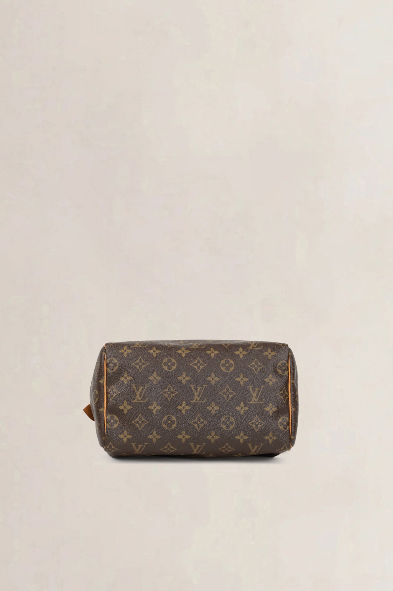 Louis Vuitton Speedy 25 Top Handle Bag