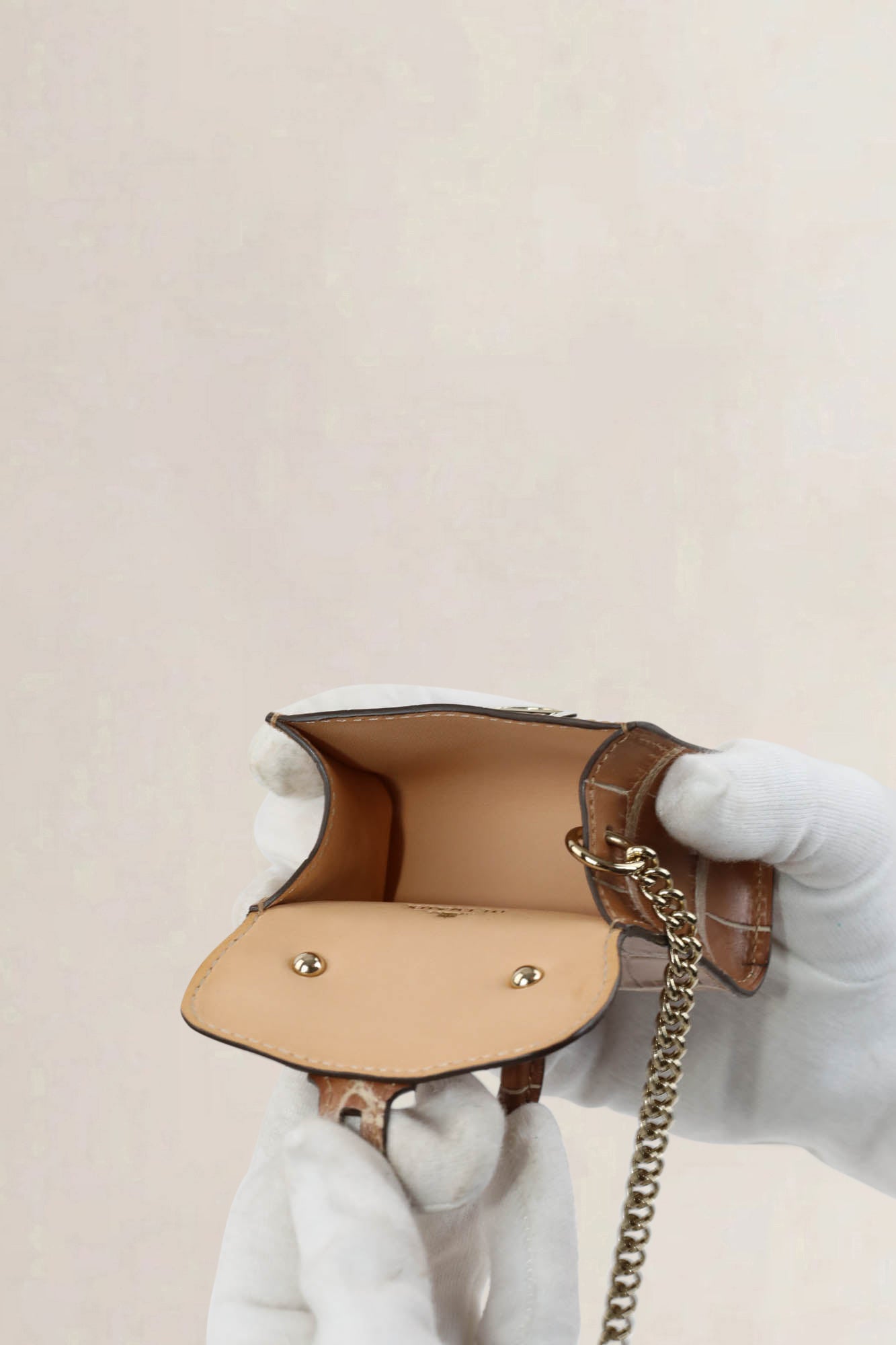 Delvaux Brown Brillant Croco Charm