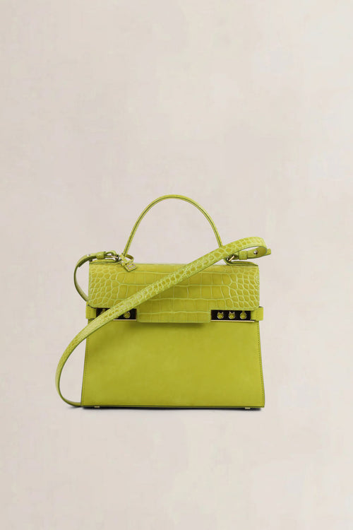 Delvaux Absinthe Limited Edition Tempête Croco/Suède Crossbody Bag