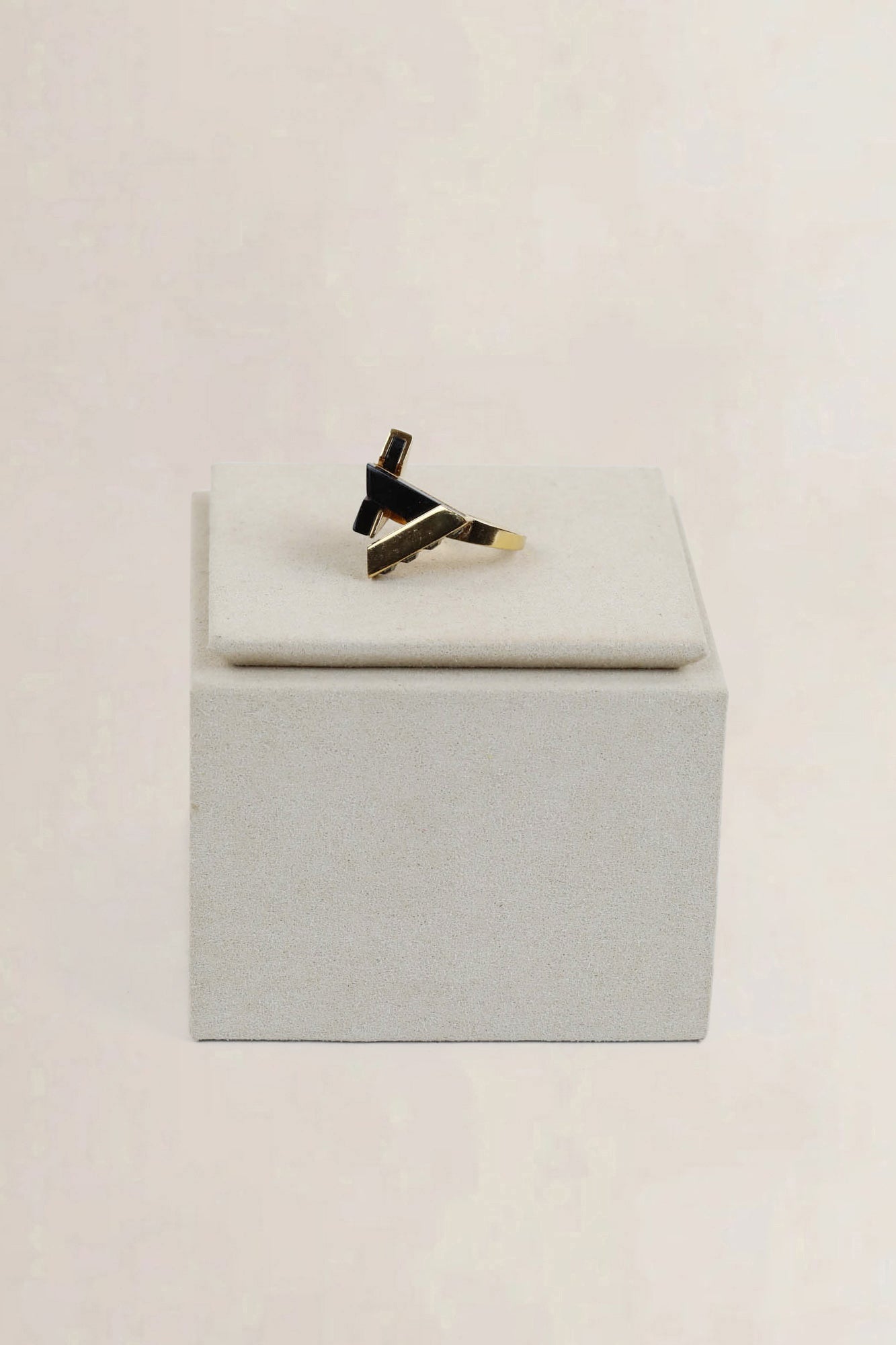 Geometric Ring