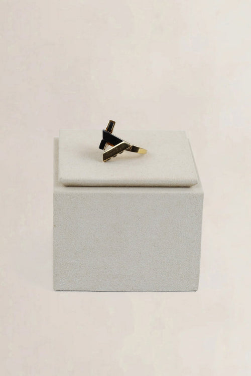 Geometric Ring