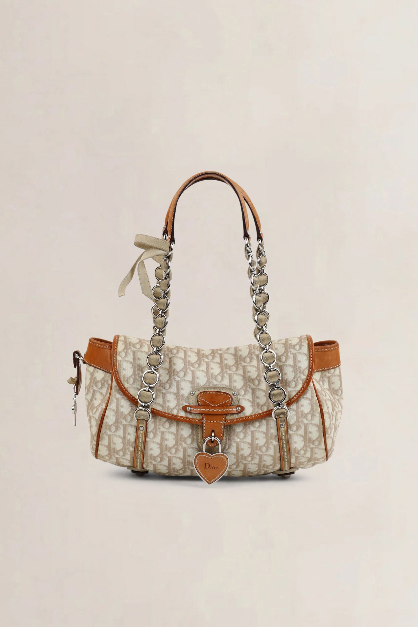 Christian Dior Romantique Trotter Shoulder Bag