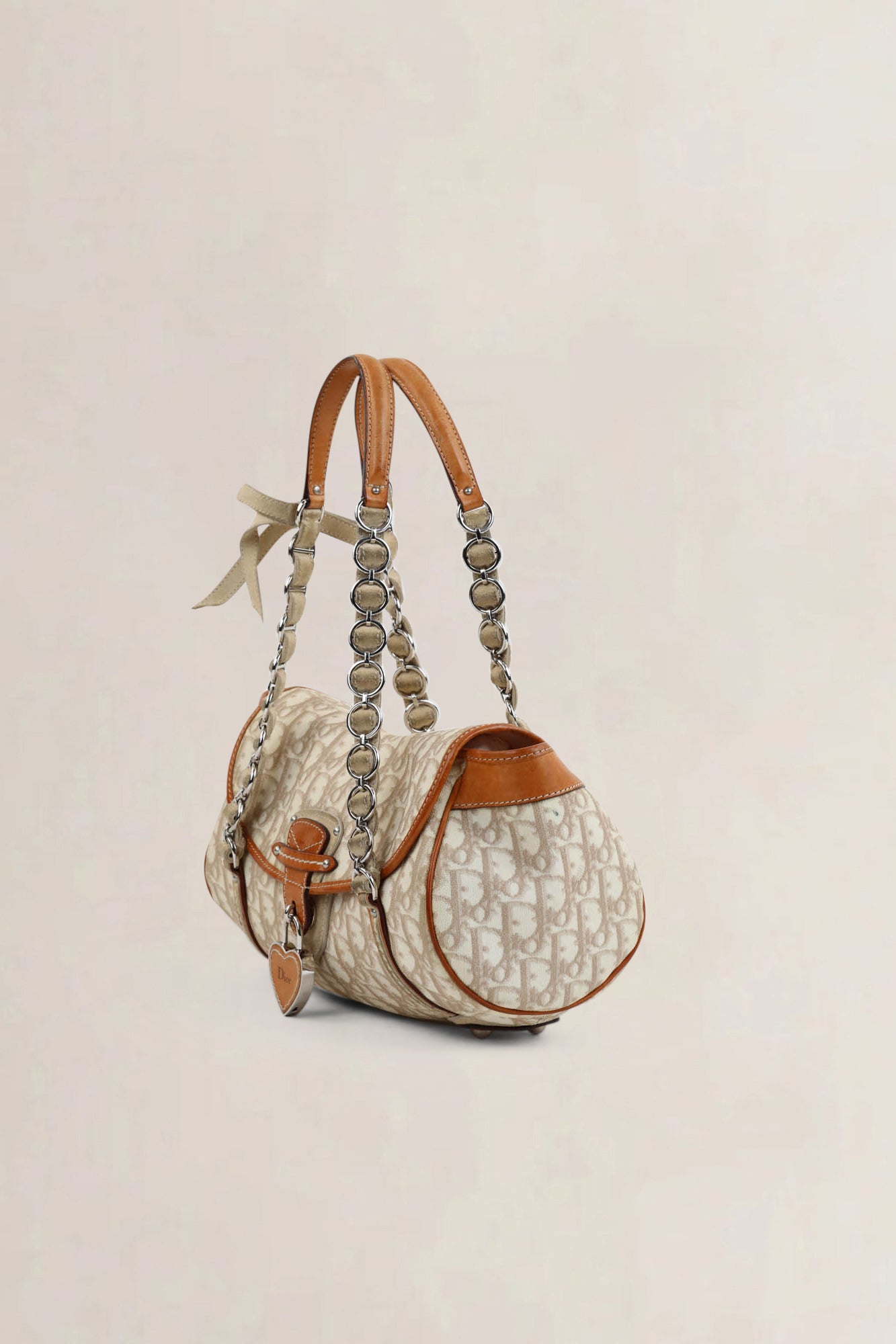 Christian Dior Romantique Trotter Shoulder Bag