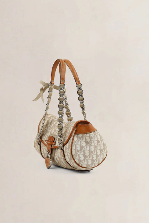 Christian Dior Romantique Trotter Shoulder Bag
