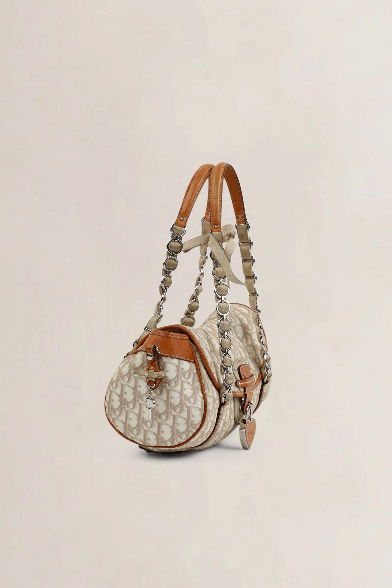 Christian Dior Romantique Trotter Shoulder Bag
