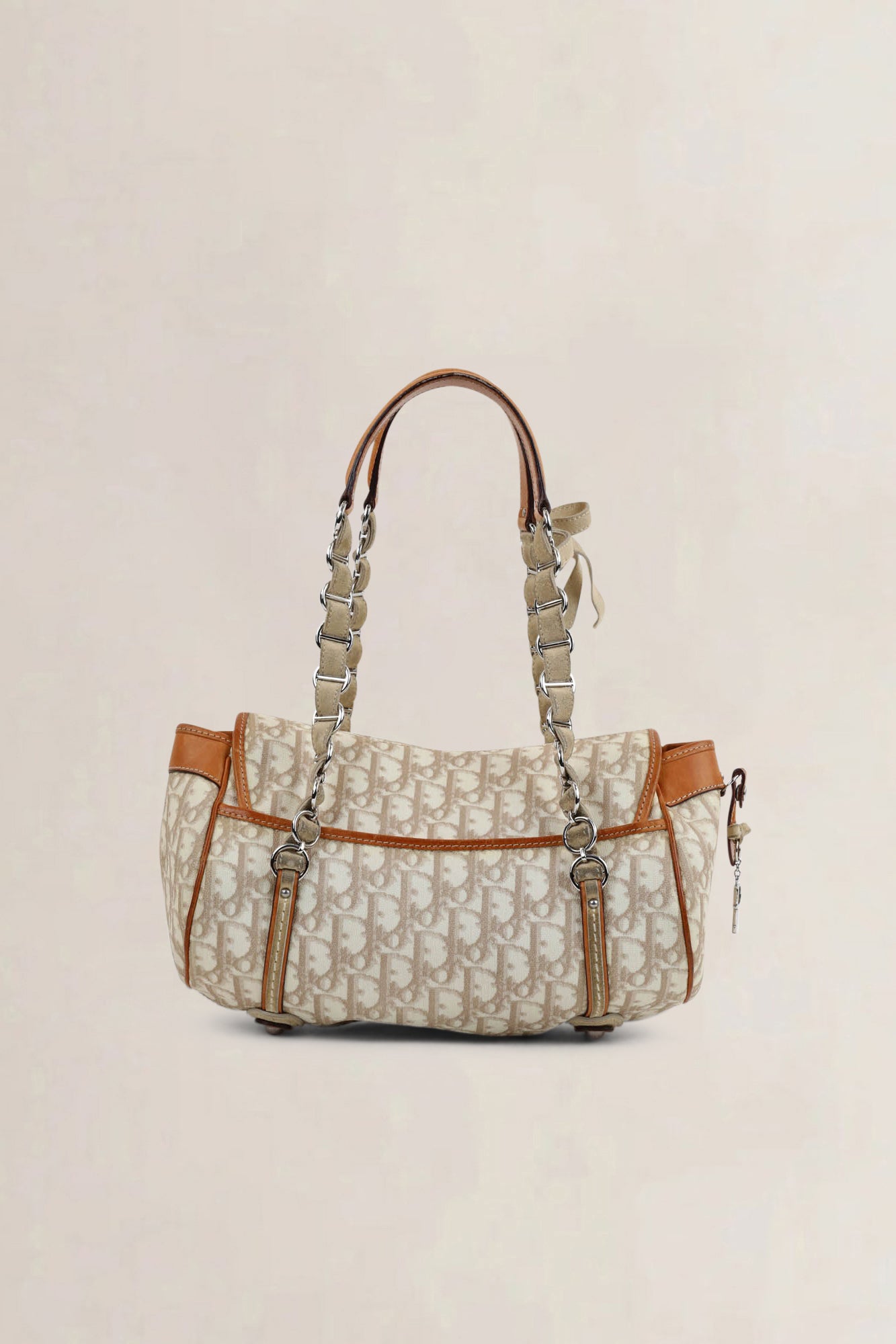 Christian Dior Romantique Trotter Shoulder Bag