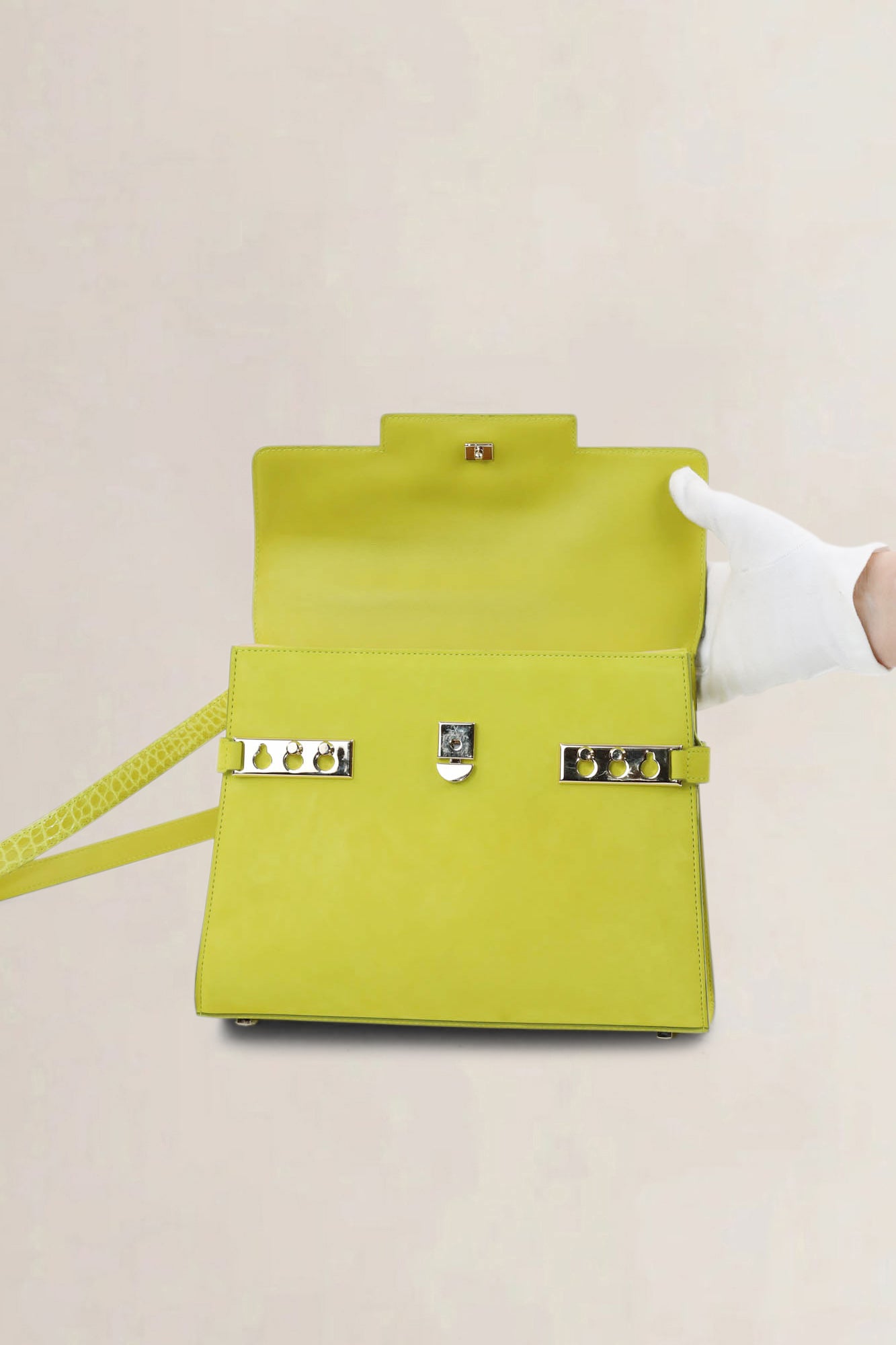 Delvaux Absinthe Limited Edition Tempête Croco/Suède Crossbody Bag