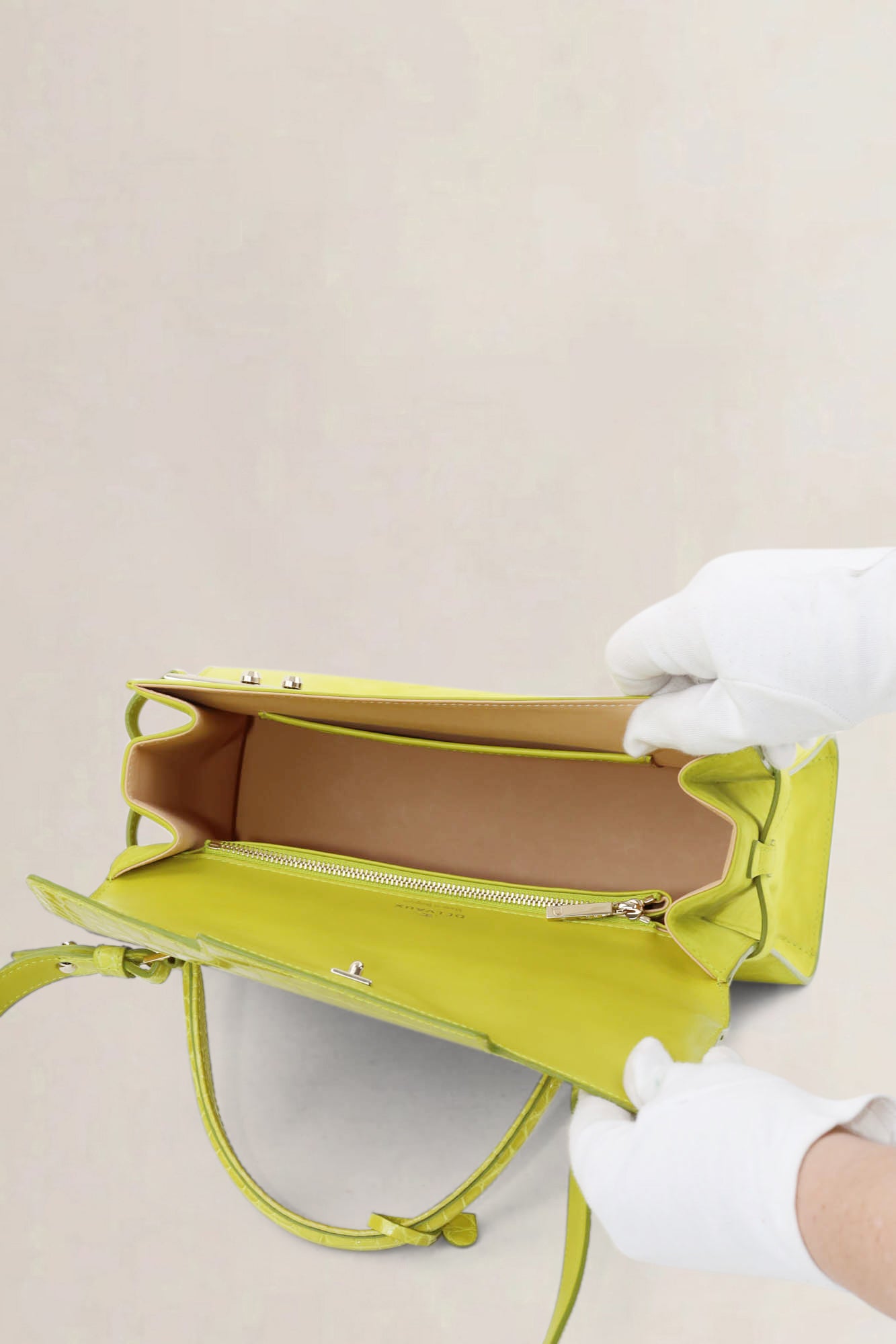 Delvaux Absinthe Limited Edition Tempête Croco/Suède Crossbody Bag