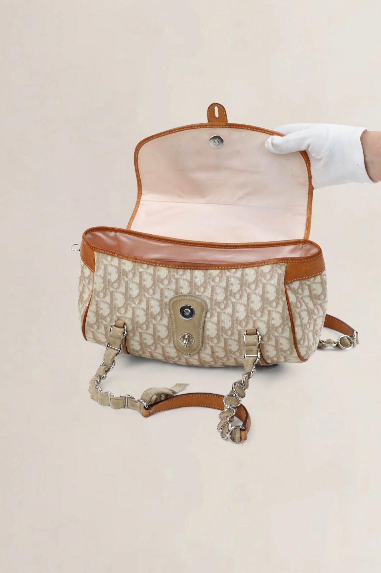 Christian Dior Romantique Trotter Shoulder Bag