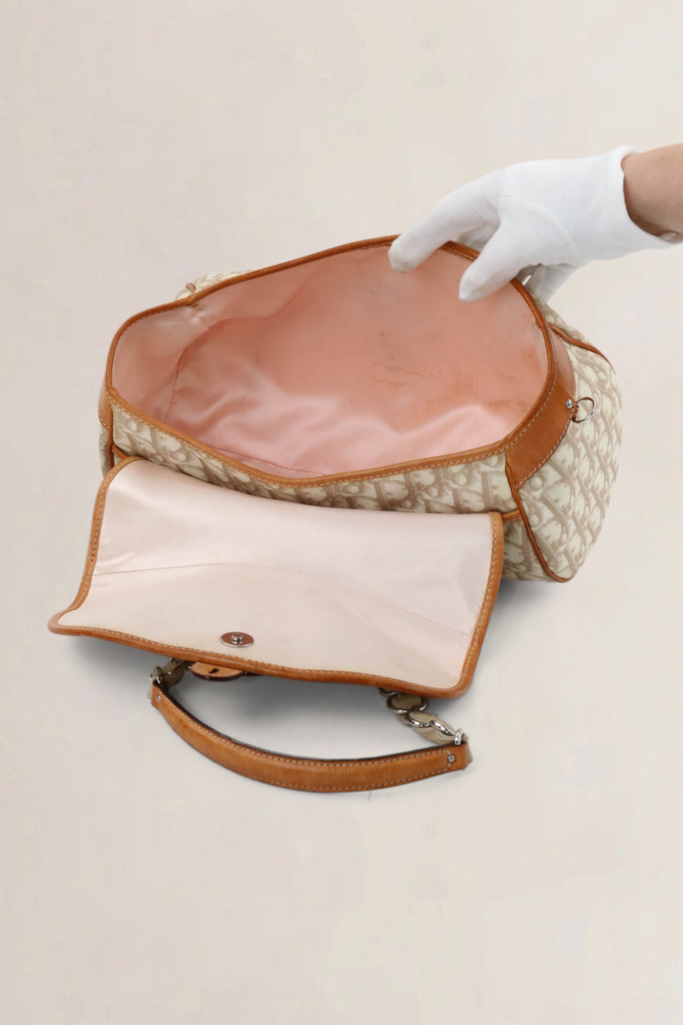 Christian Dior Romantique Trotter Shoulder Bag