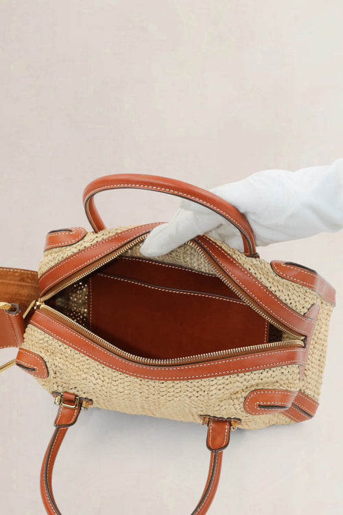 Delvaux Coolbox MM Bohème Limited Edition Crossbody Bag