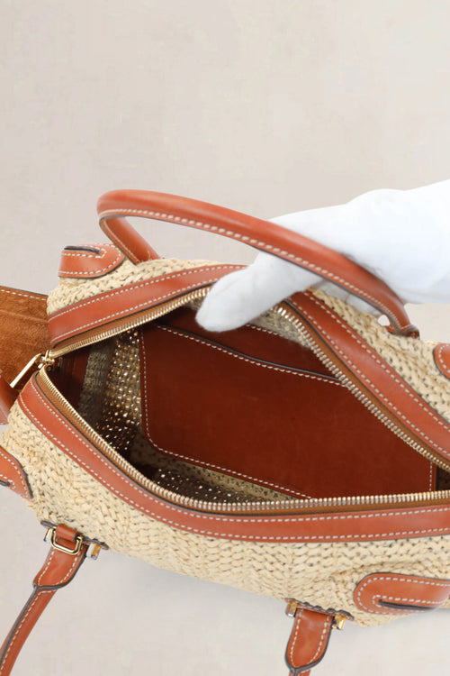 Delvaux Coolbox MM Bohème Limited Edition Crossbody Bag