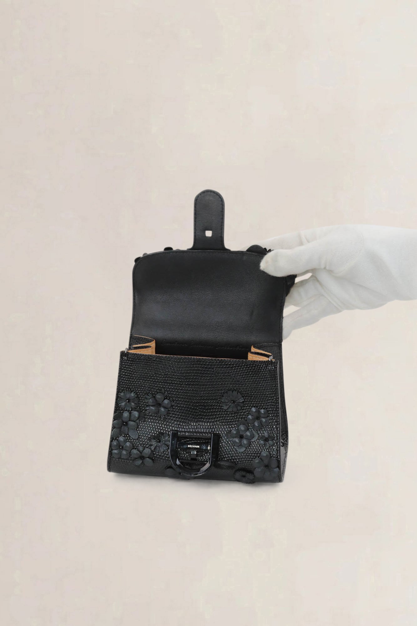 Delvaux Brillant Mini "Black Beauty" Limited Edition Crossbody Bag