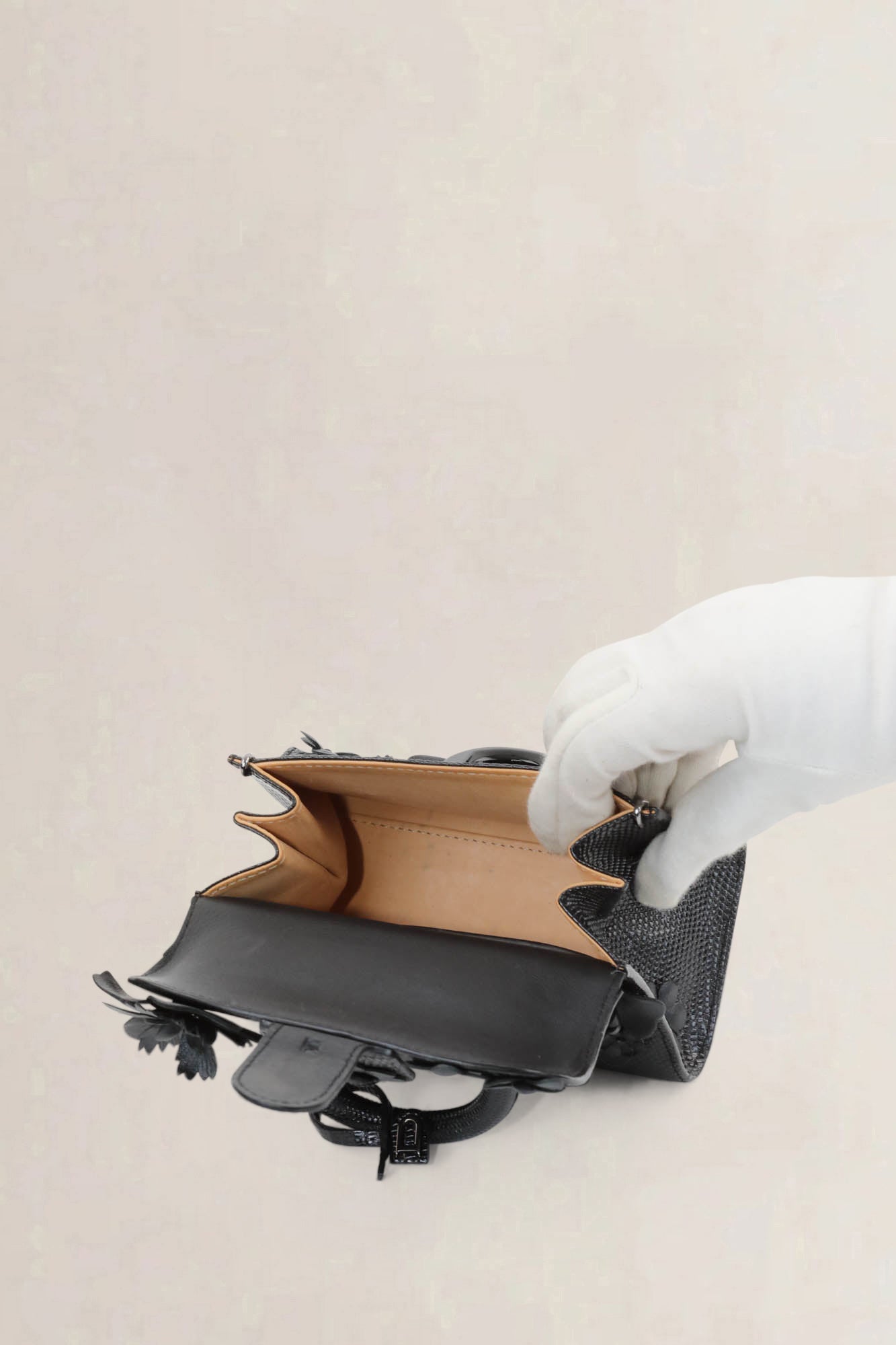 Delvaux Brillant Mini "Black Beauty" Limited Edition Crossbody Bag