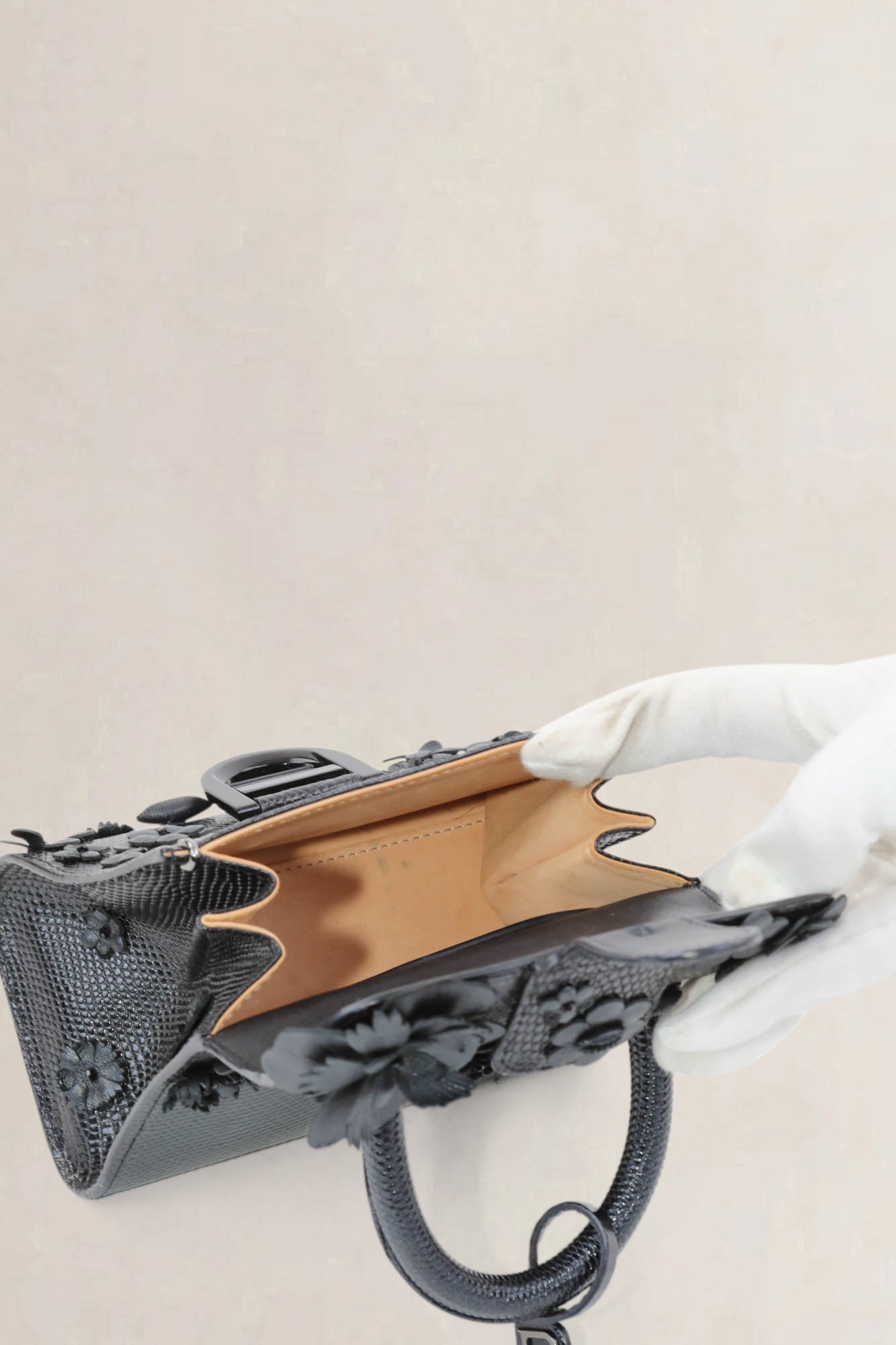 Delvaux Brillant Mini "Black Beauty" Limited Edition Crossbody Bag