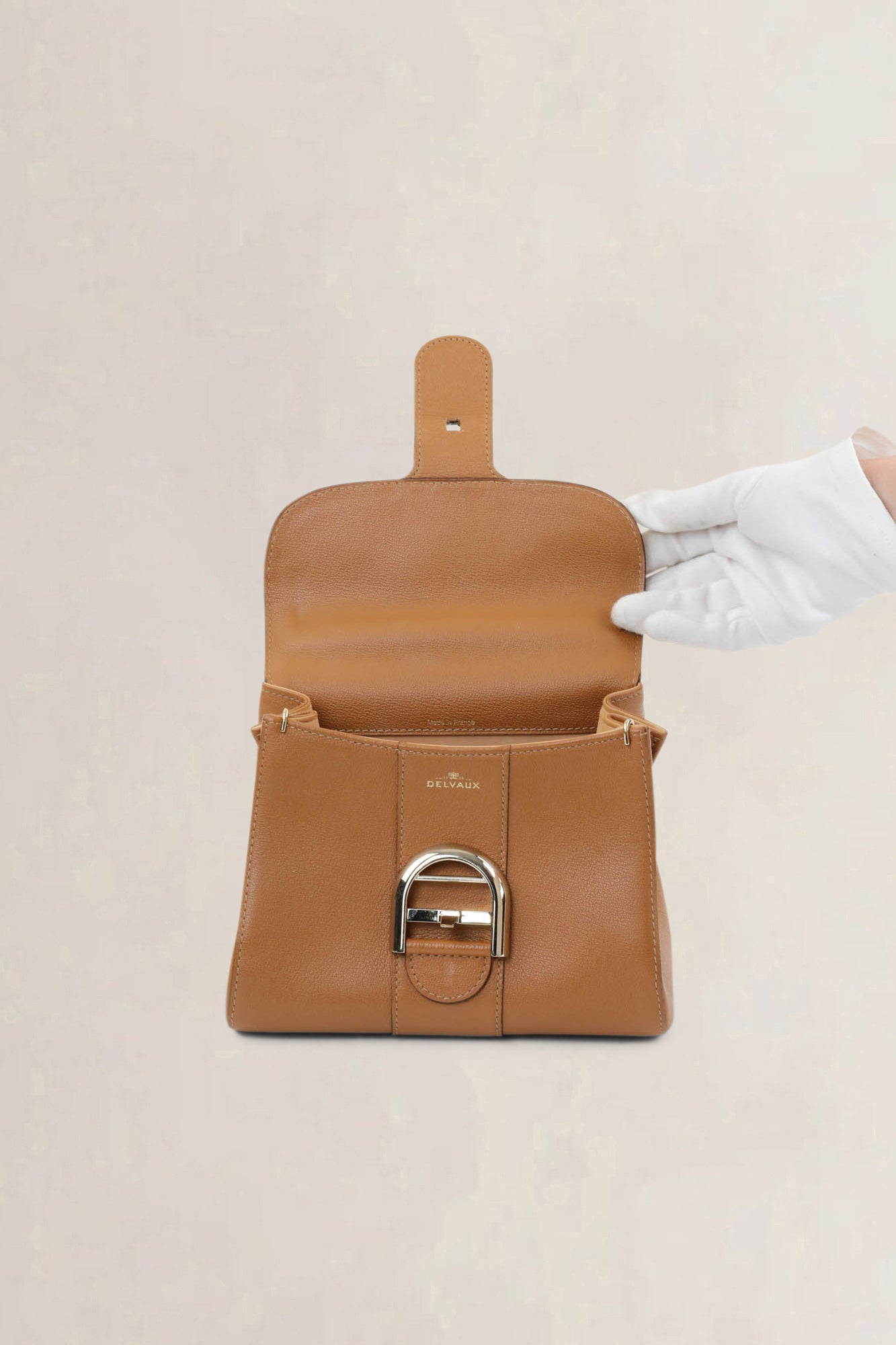 Delvaux Végétal Brillant Mini Crossbody Bag