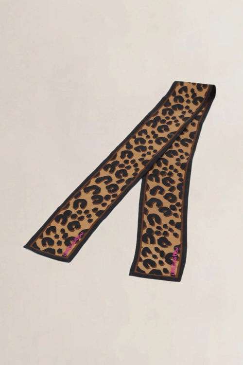 Louis Vuitton Brown Scarf