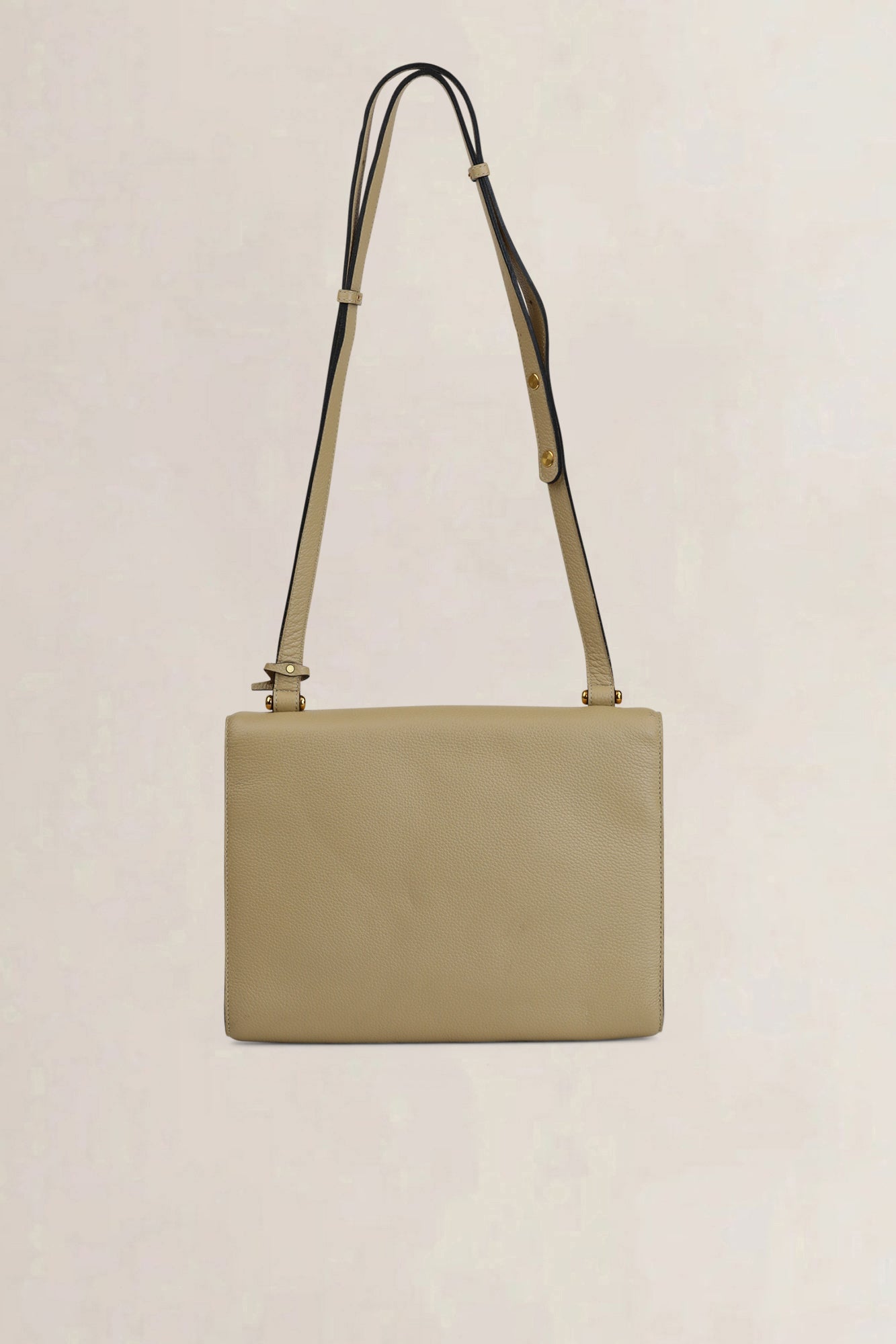 Delvaux Beige Leather Crossbody Bag