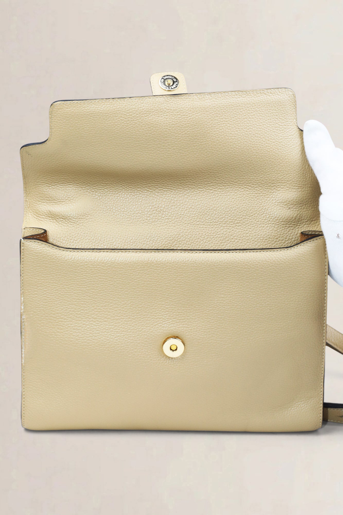 Delvaux Beige Leather Crossbody Bag