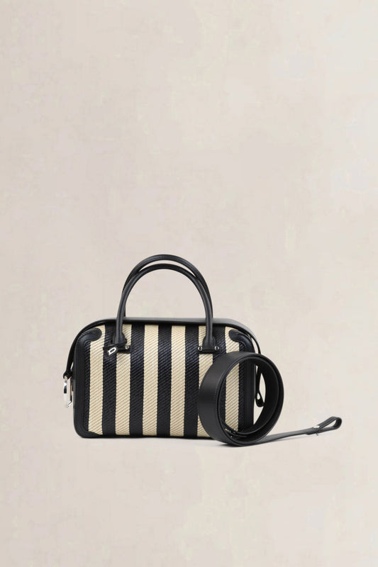 Delvaux Two-Tone Leather-Trimmed Stripe Raffia Coolbox MM Crossbody Bag
