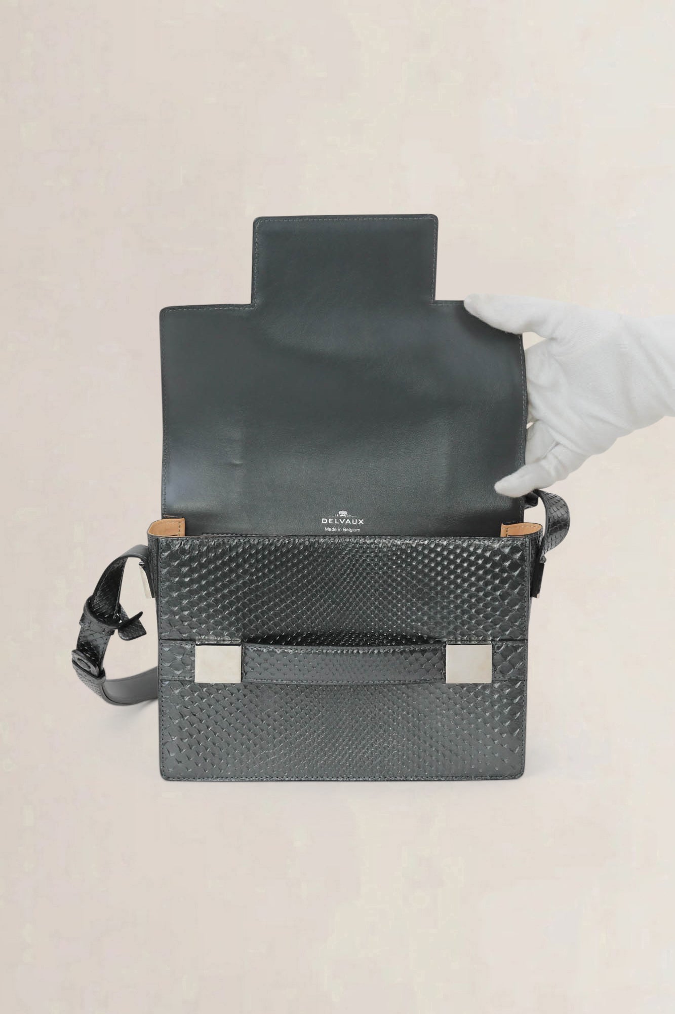 Delvaux Madame Python/Fox Crossbody Bag