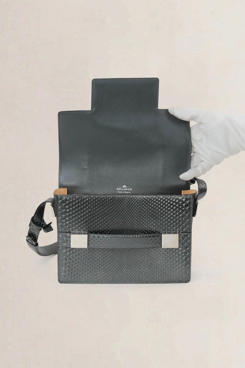 Delvaux Madame Python/Fox Crossbody Bag