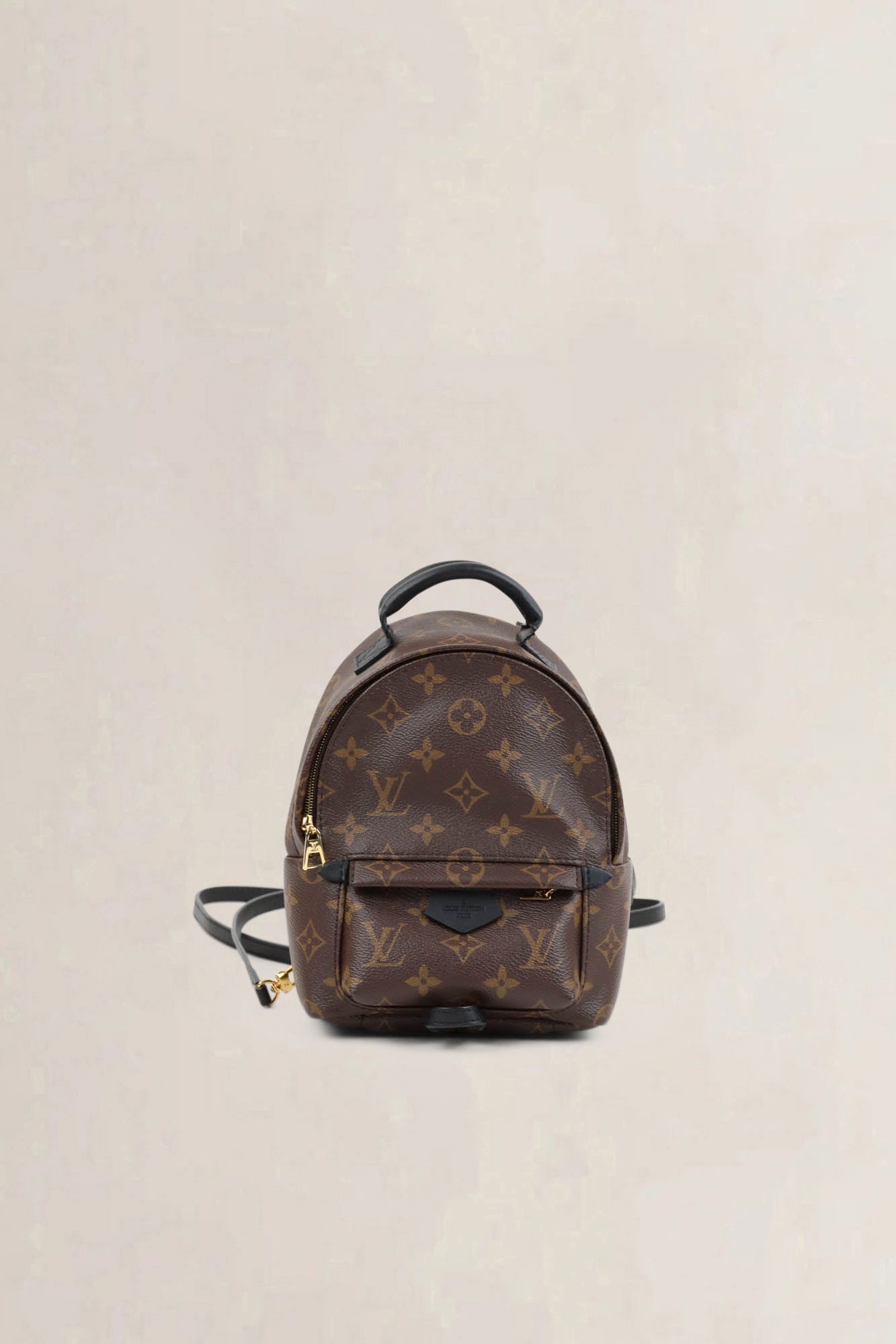 Louis Vuitton Mini Monogram Palm Springs Backpack