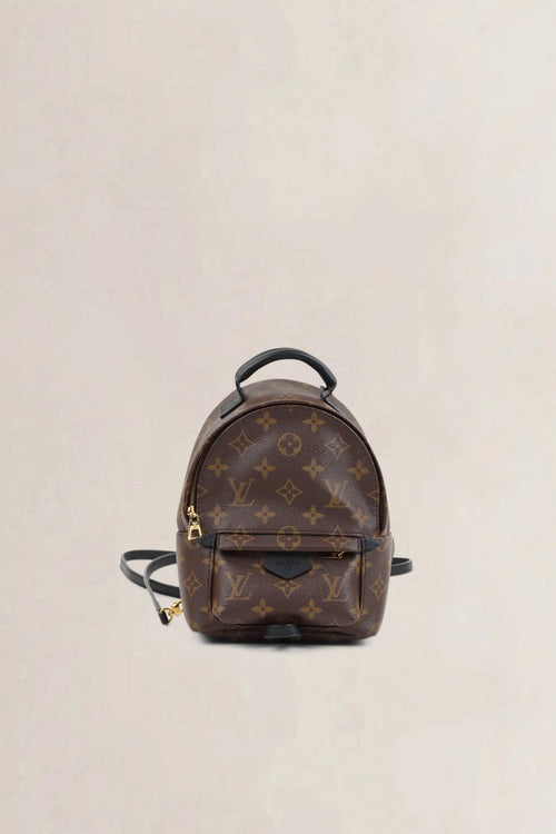Louis Vuitton Mini Monogram Palm Springs Backpack