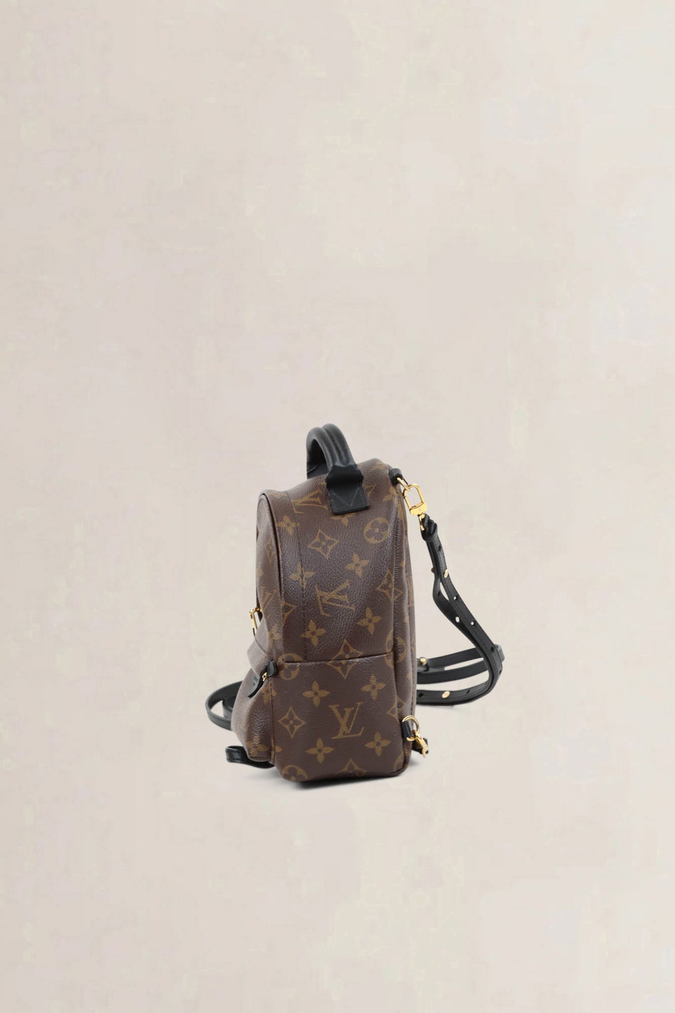 Louis Vuitton Mini Monogram Palm Springs Backpack