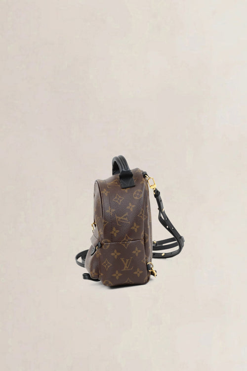 Louis Vuitton Mini Monogram Palm Springs Backpack