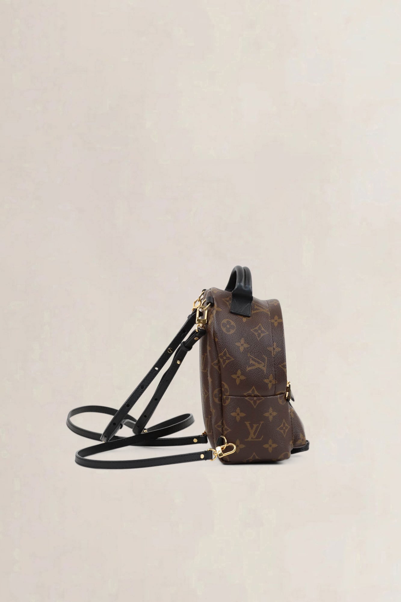 Louis Vuitton Mini Monogram Palm Springs Backpack