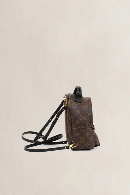 Louis Vuitton Mini Monogram Palm Springs Backpack