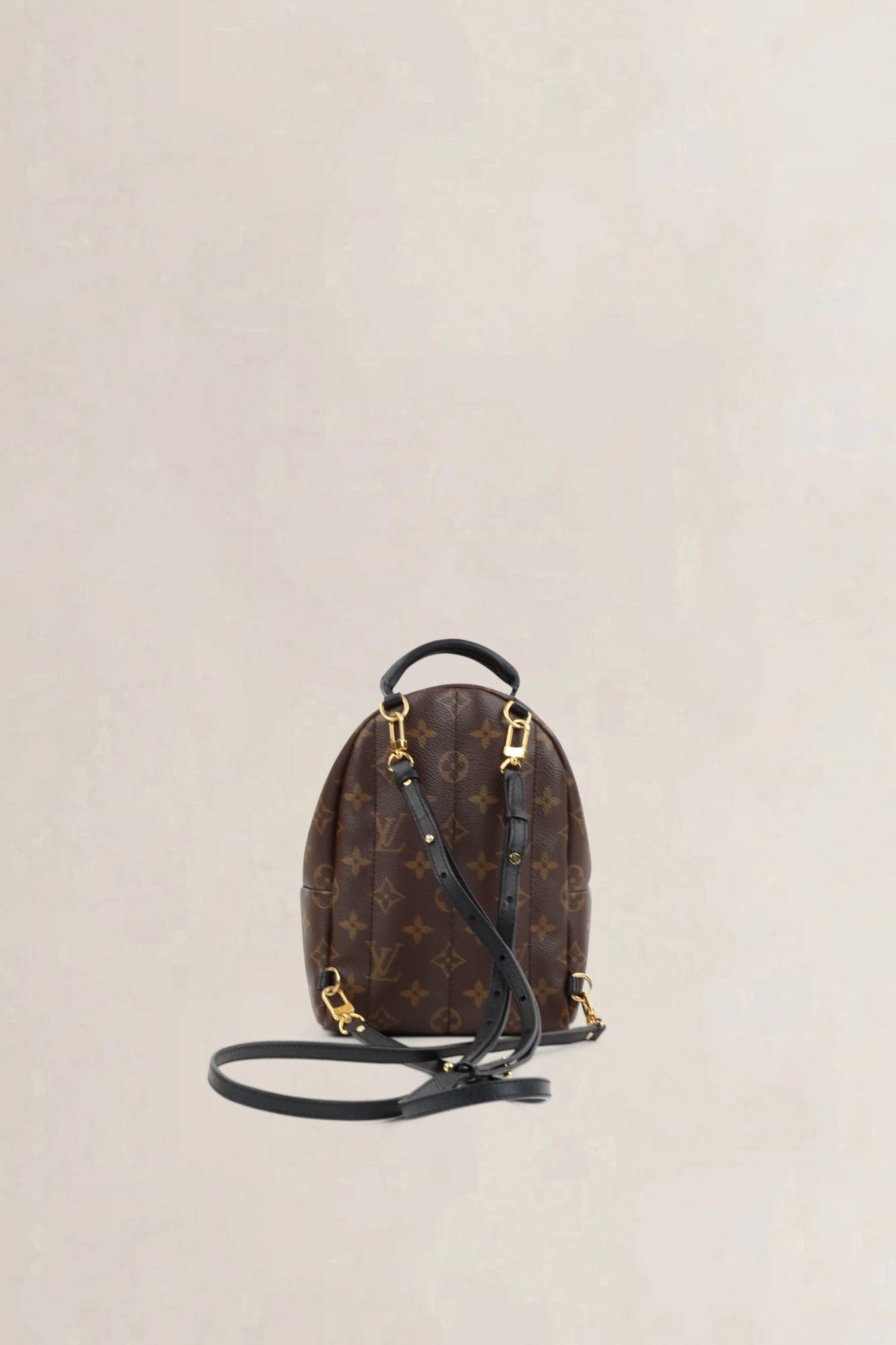 Louis Vuitton Mini Monogram Palm Springs Backpack