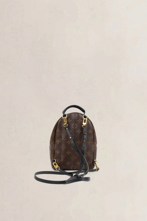Louis Vuitton Mini Monogram Palm Springs Backpack