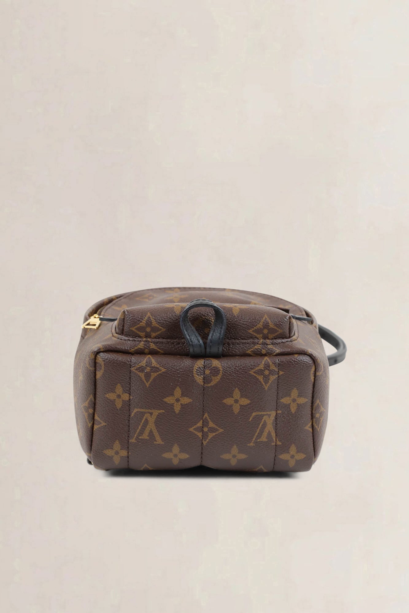 Louis Vuitton Mini Monogram Palm Springs Backpack
