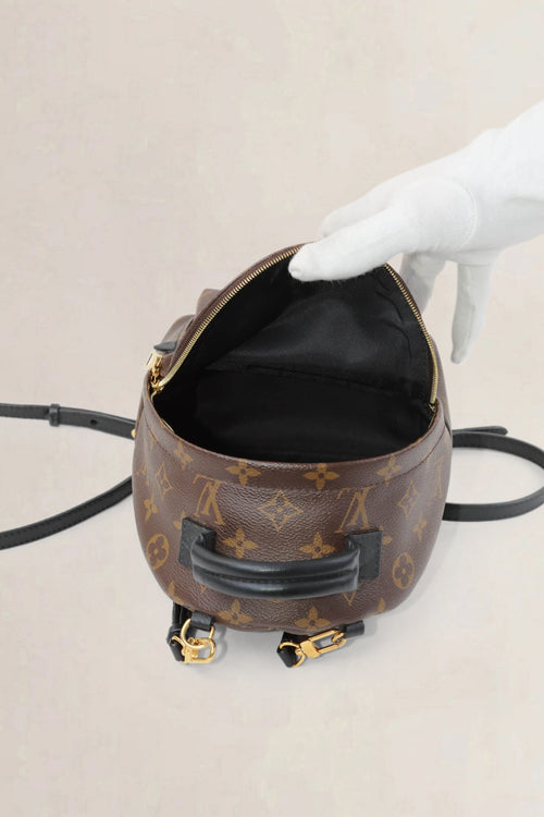 Louis Vuitton Mini Monogram Palm Springs Backpack
