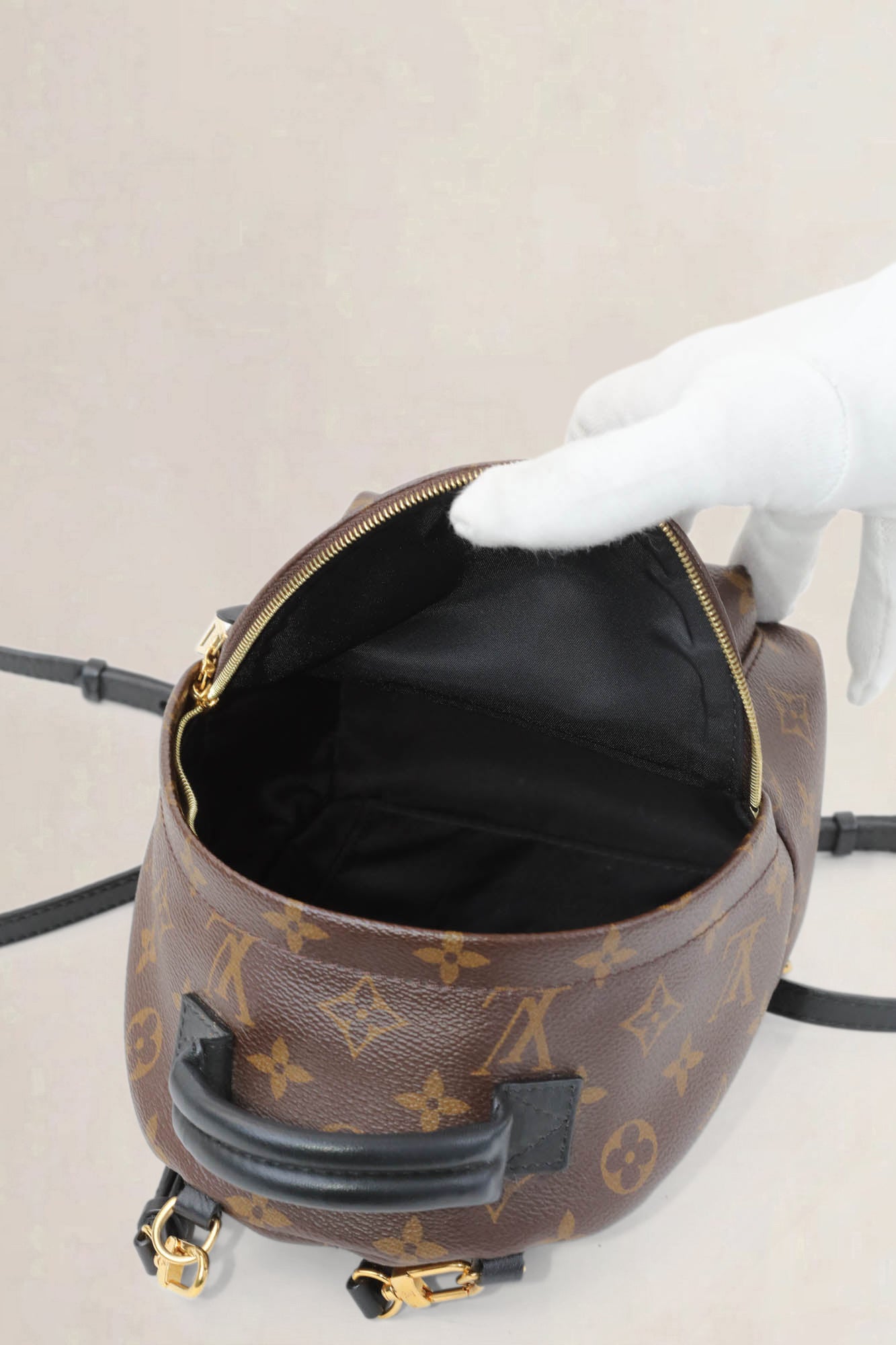 Louis Vuitton Mini Monogram Palm Springs Backpack