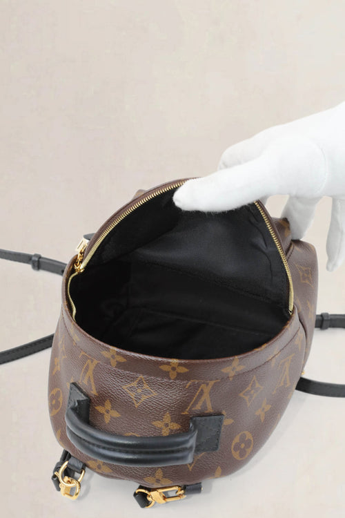 Louis Vuitton Mini Monogram Palm Springs Backpack