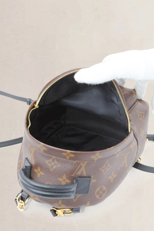 Louis Vuitton Mini Monogram Palm Springs Backpack