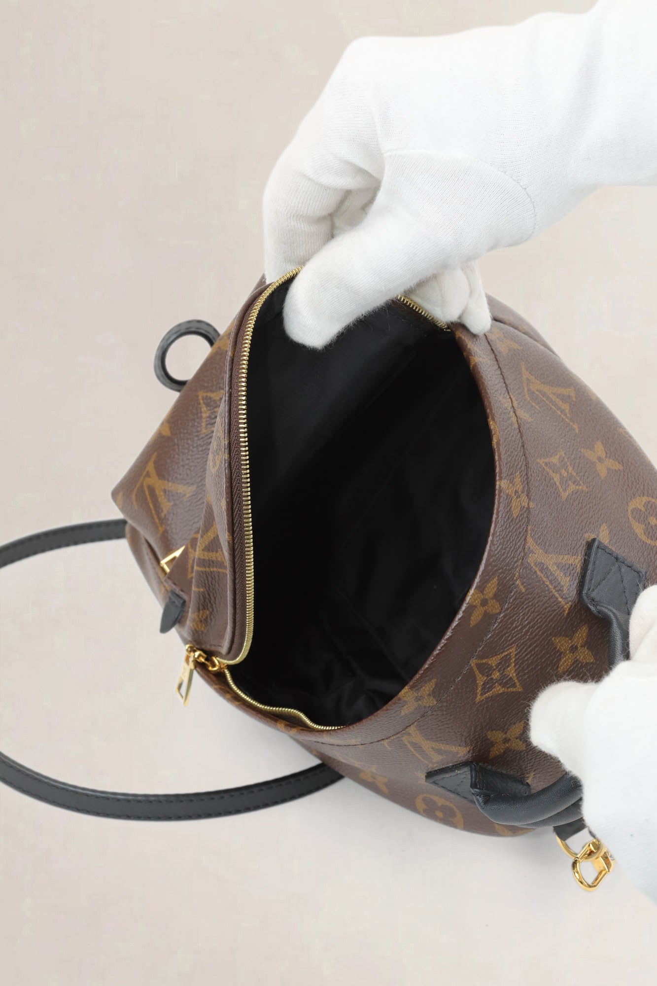 Louis Vuitton Mini Monogram Palm Springs Backpack