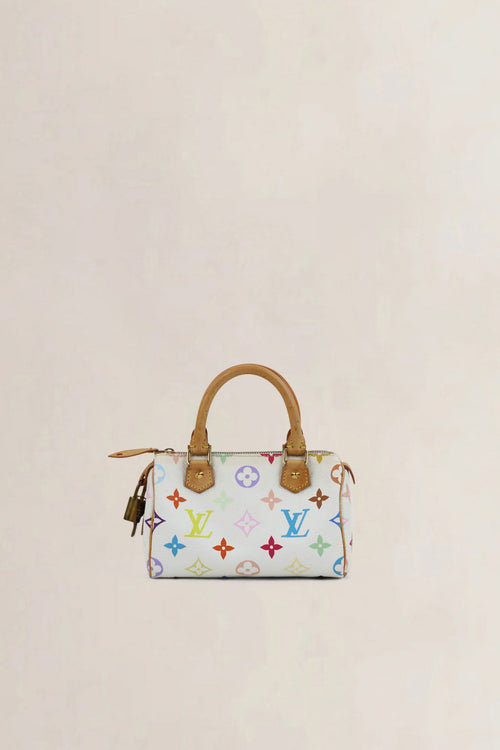 Louis Vuitton x Takashi Murakami Nano Speedy Top Handle Bag