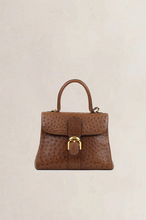 Delvaux Brillant Cognac MM Ostrich Crossbody Bag