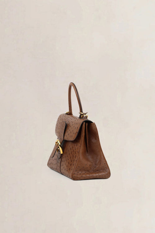 Delvaux Brillant Cognac MM Ostrich Crossbody Bag