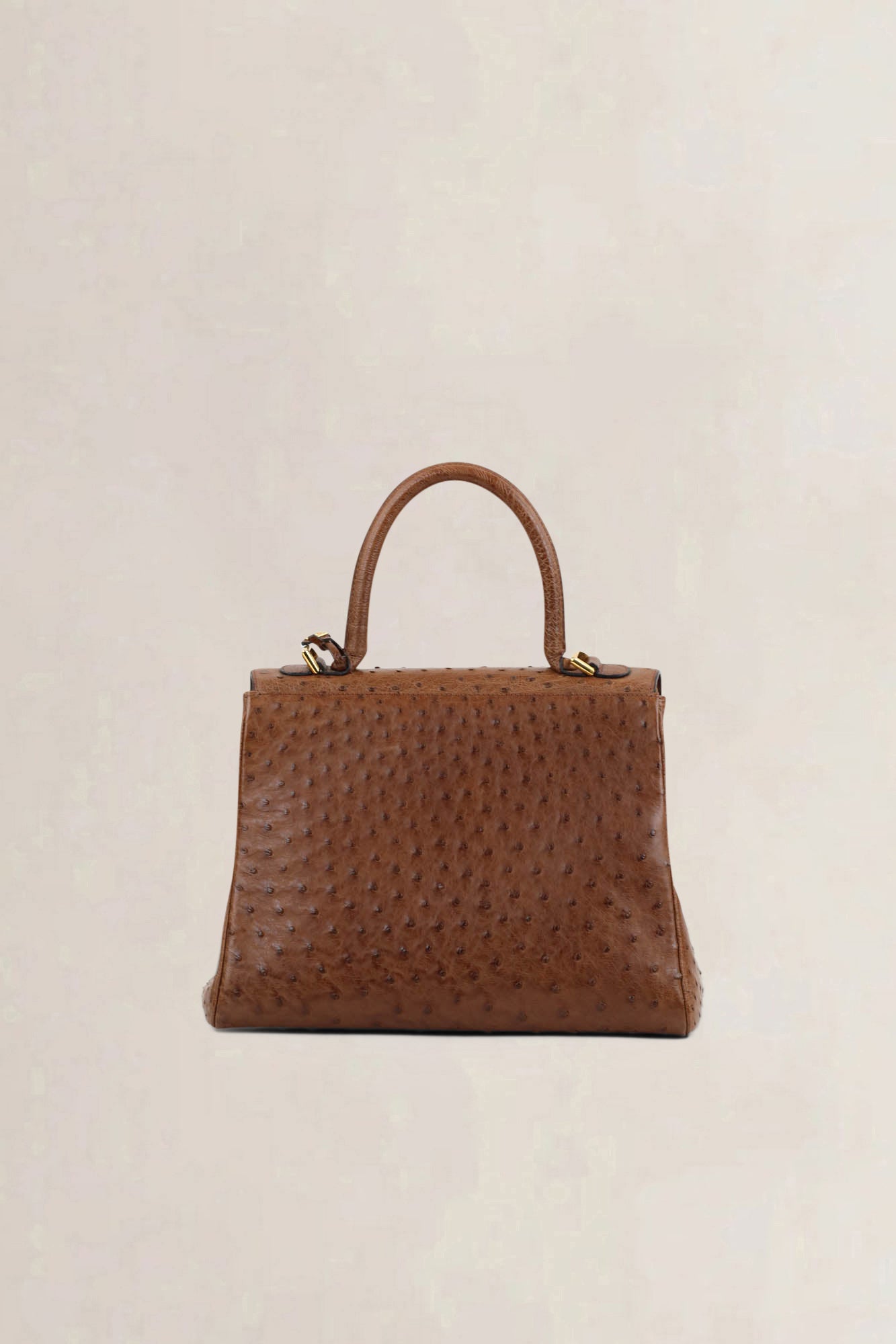 Delvaux Brillant Cognac MM Ostrich Crossbody Bag