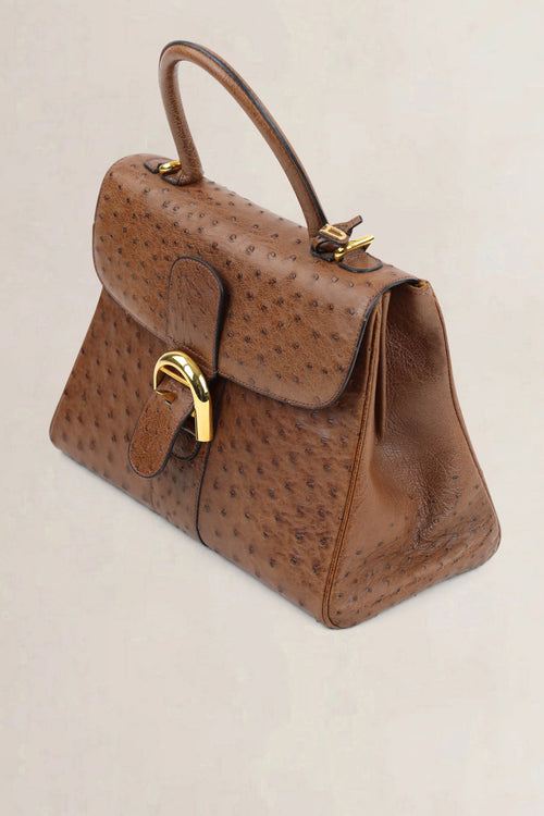 Delvaux Brillant Cognac MM Ostrich Crossbody Bag