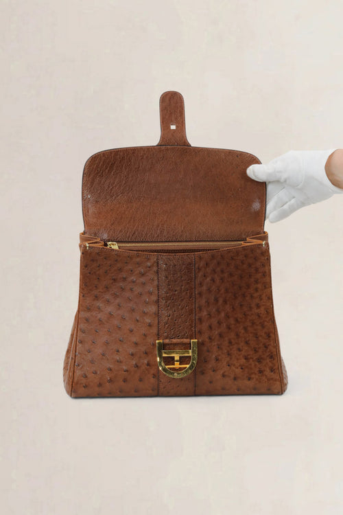 Delvaux Brillant Cognac MM Ostrich Crossbody Bag