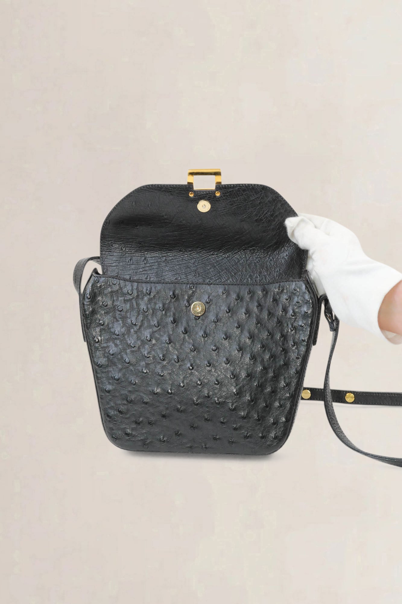 Delvaux Black Amité Ostrich Crossbody Bag