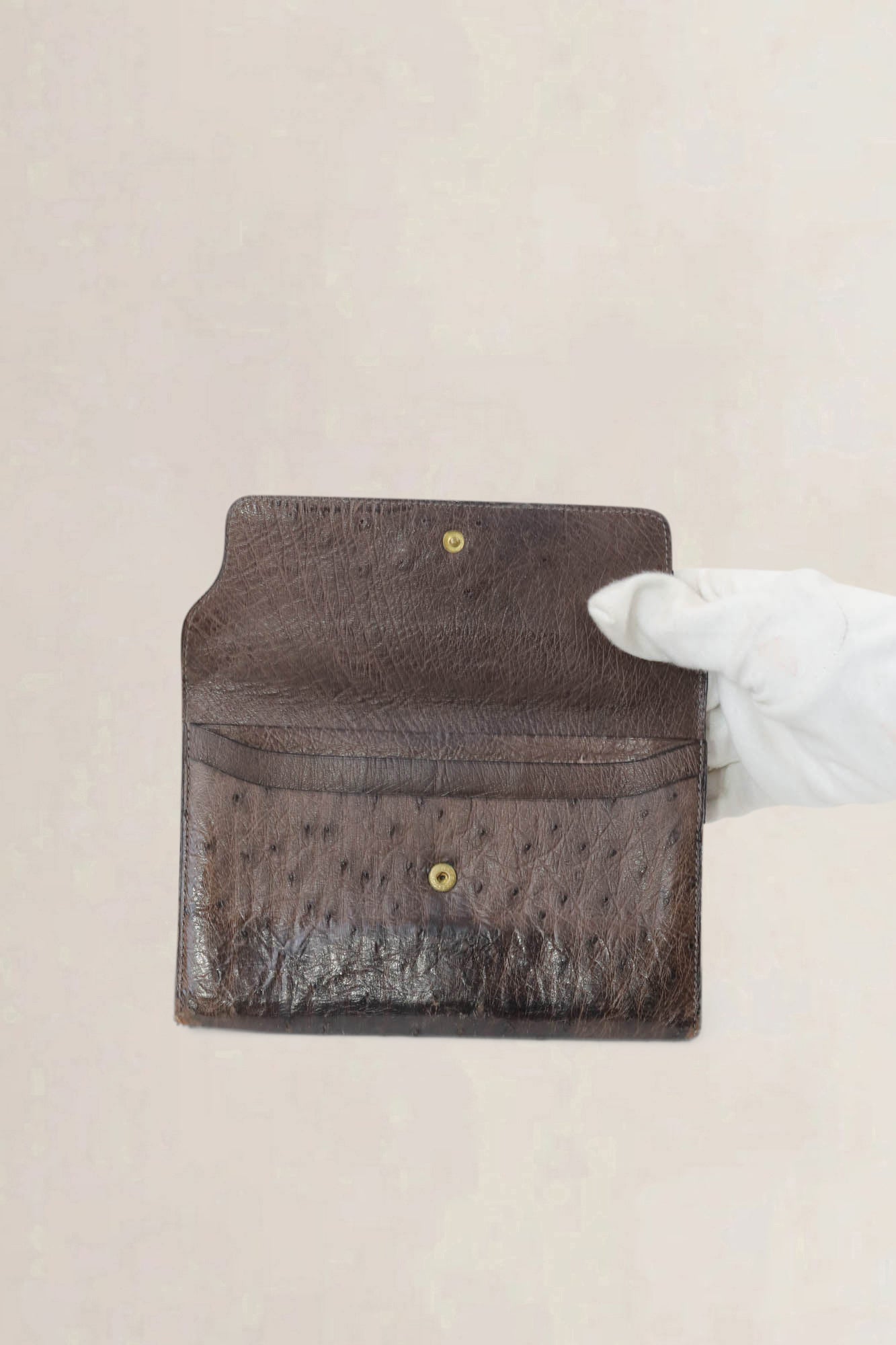 Delvaux Brown Ostrich Long Wallet