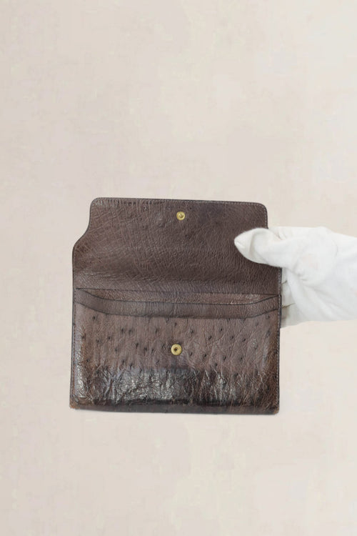Delvaux Brown Ostrich Long Wallet