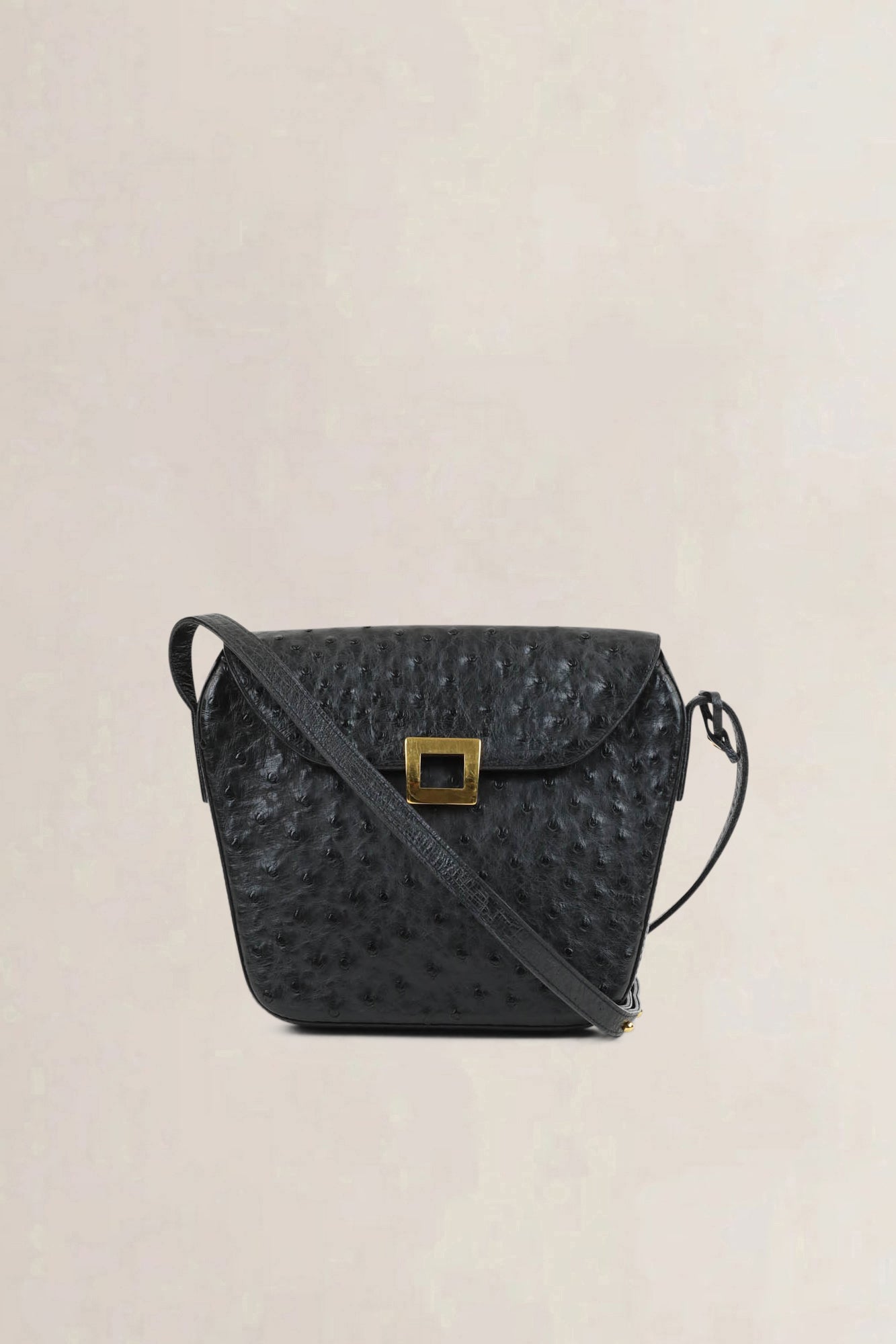 Delvaux Black Amité Ostrich Crossbody Bag